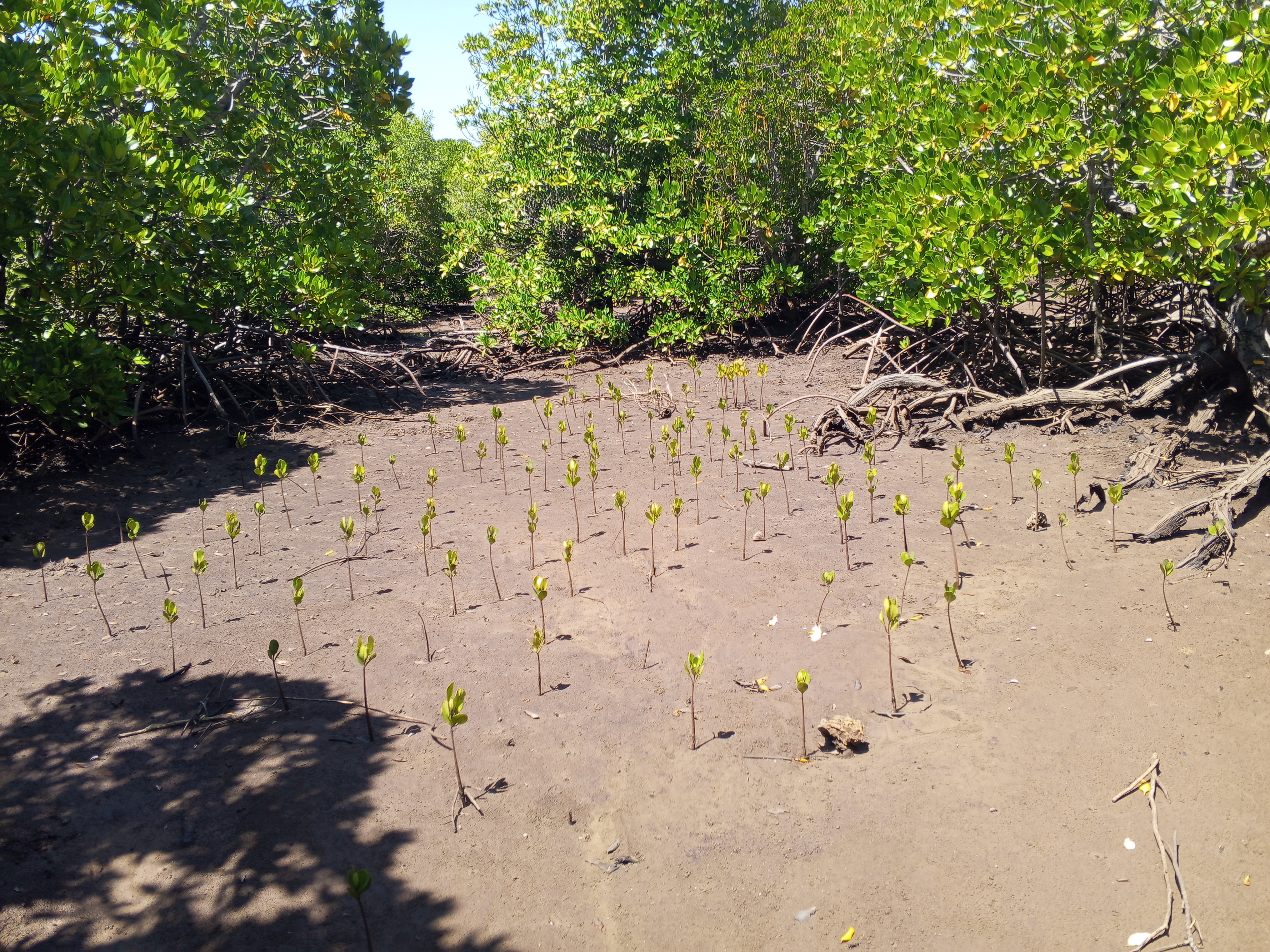 MONITORING AND EVALUATION