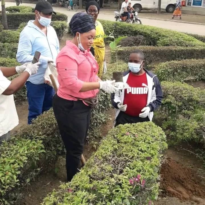 Renewable Energy Research