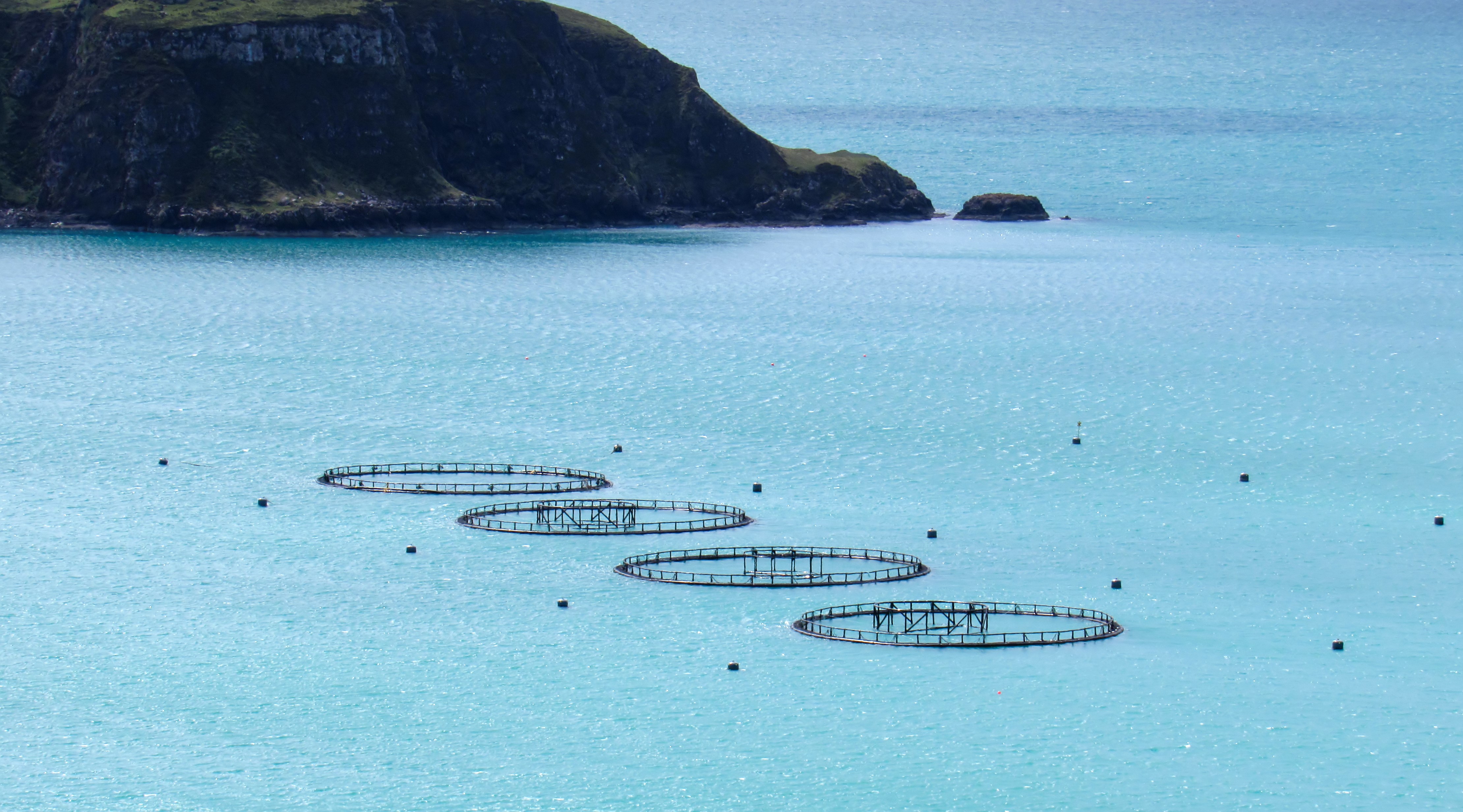 Renewable Energy Research