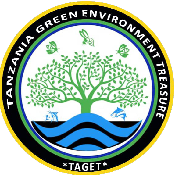 TAGETI Logo