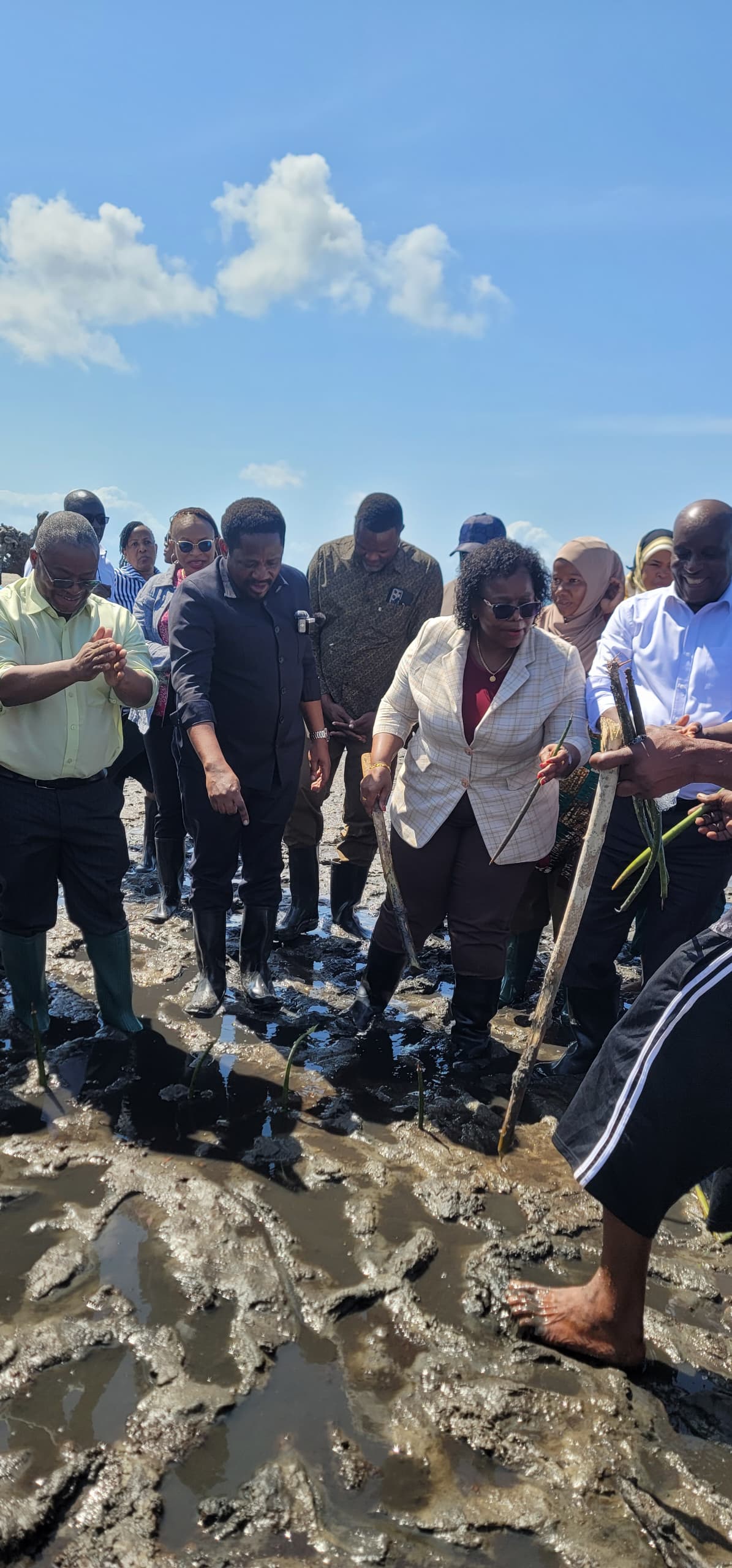 Mangrove planting with government leaders