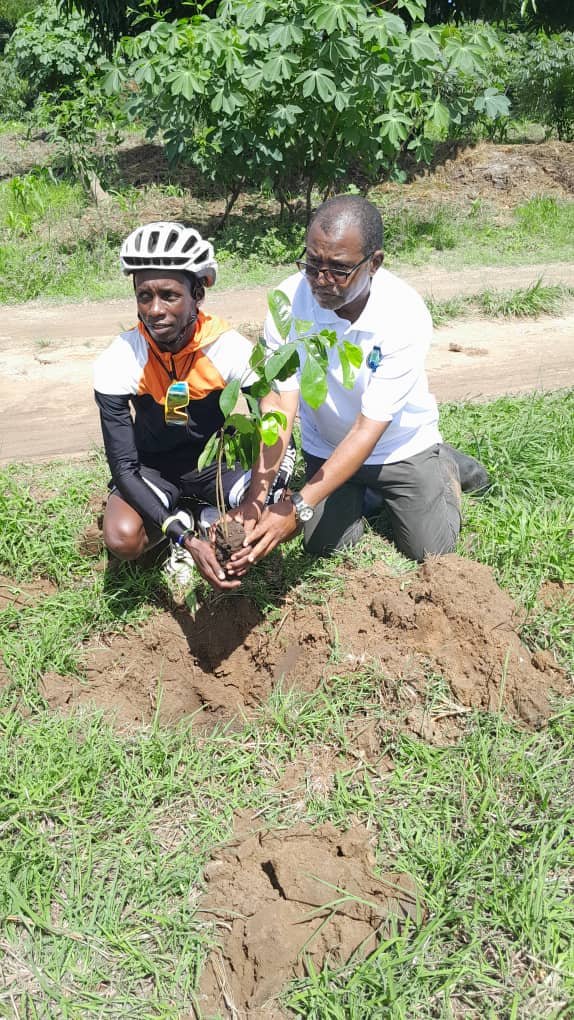 TAGET staff member and a cyclist planting a seedling side by side
