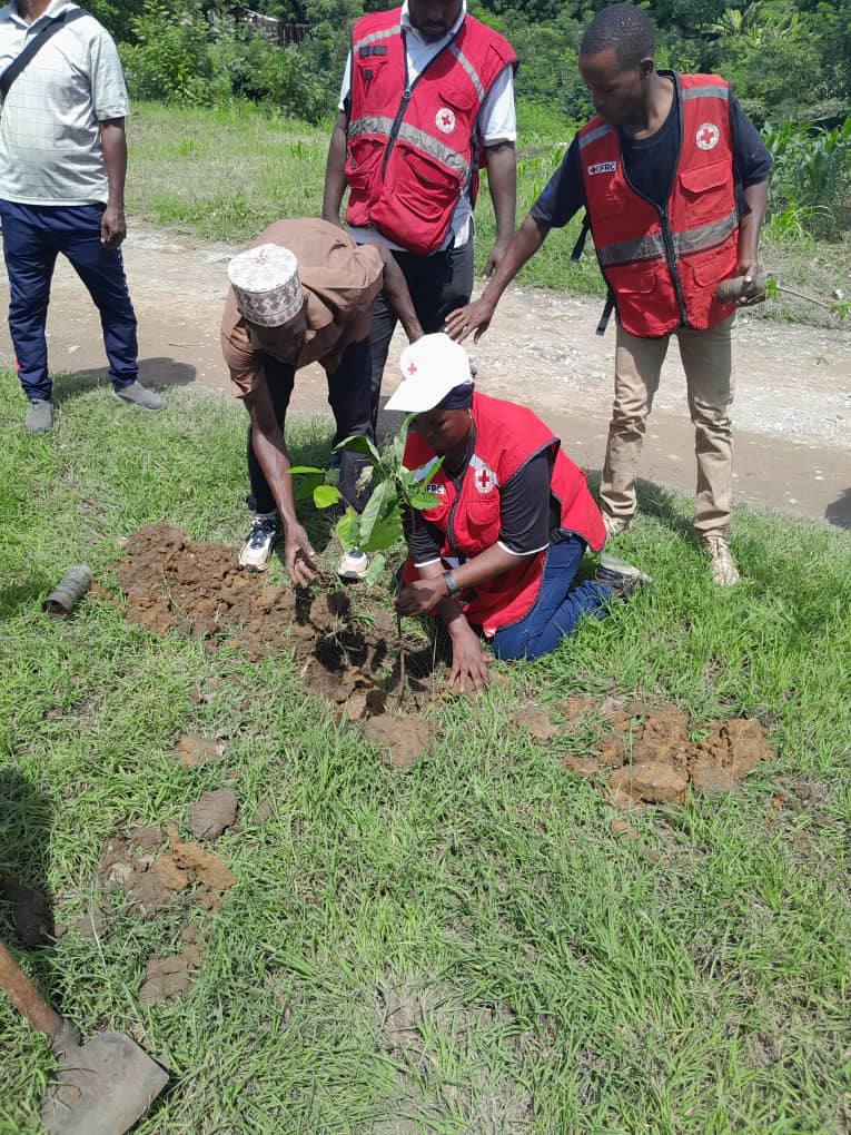 Planting trees with Red Cross volunteers