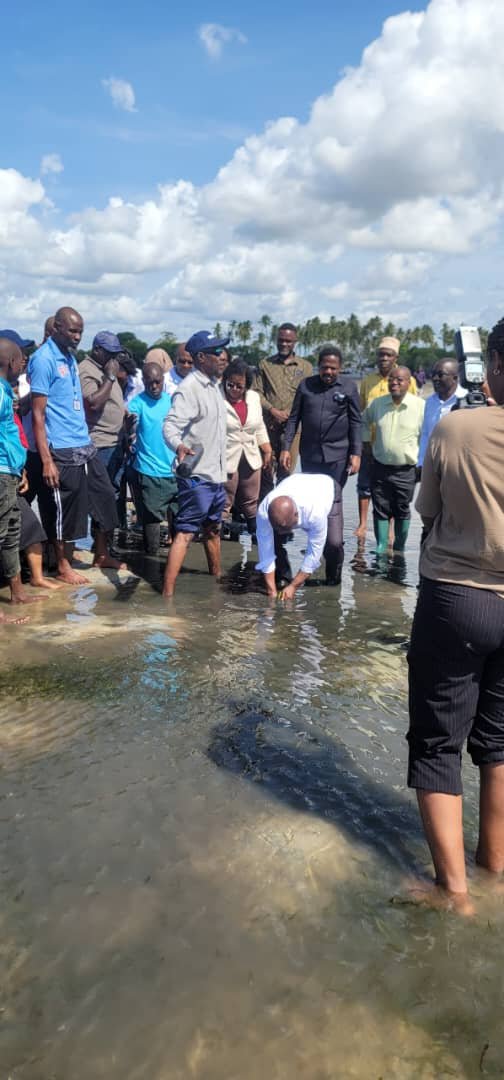 Demonstration of seagrass planting technique in shallow coastal water