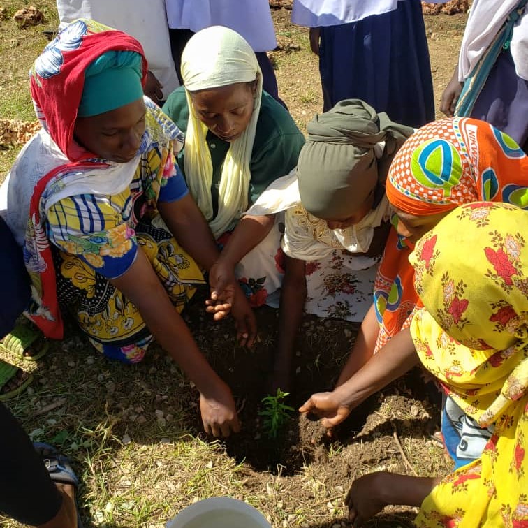 Consultancy & Advisory Services