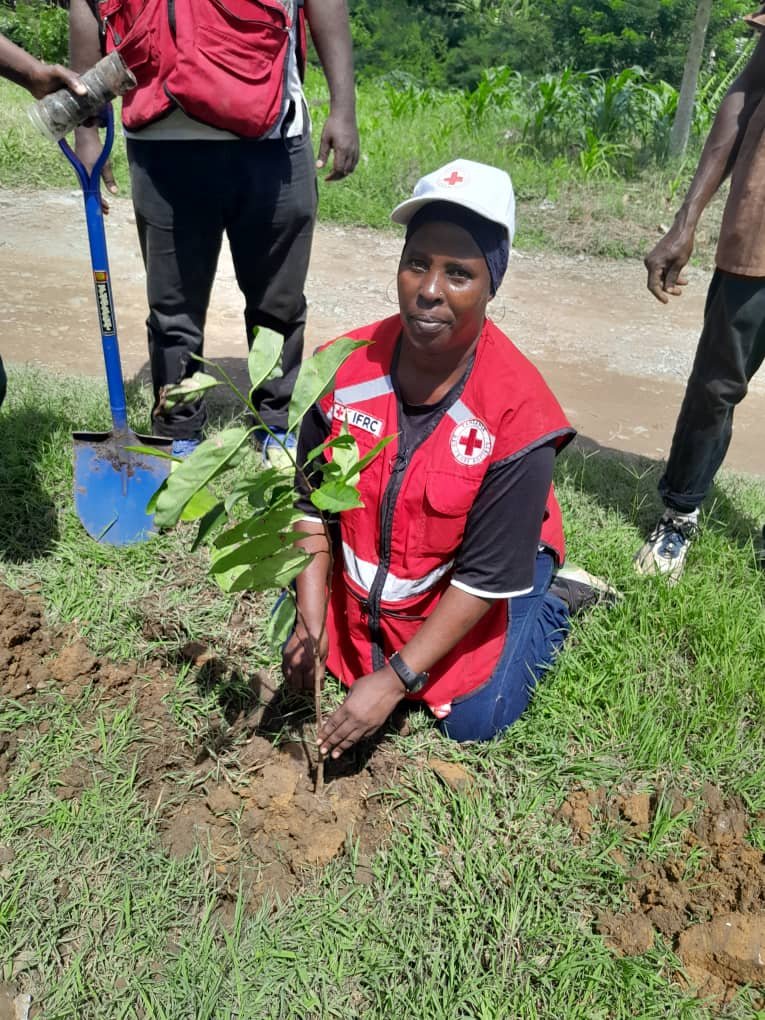 Red Cross volunteer kneeling to firm soil around a newly planted seedling
