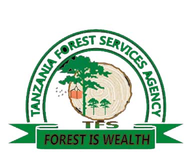 TFSA Logo